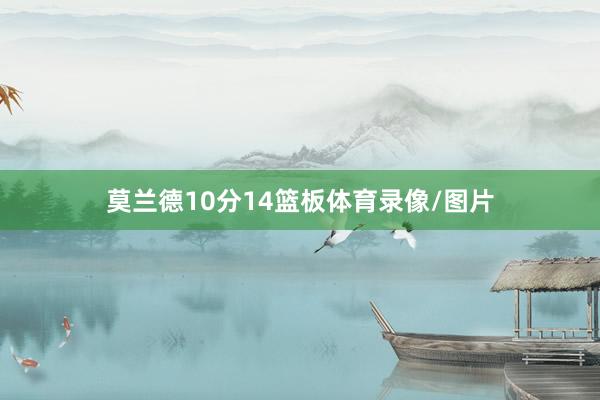 莫兰德10分14篮板体育录像/图片