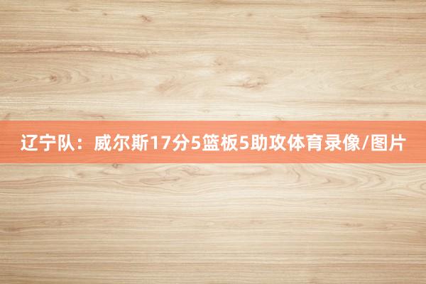 辽宁队：威尔斯17分5篮板5助攻体育录像/图片