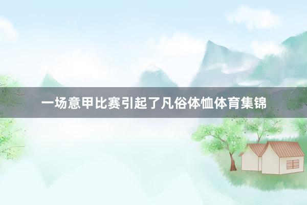 一场意甲比赛引起了凡俗体恤体育集锦