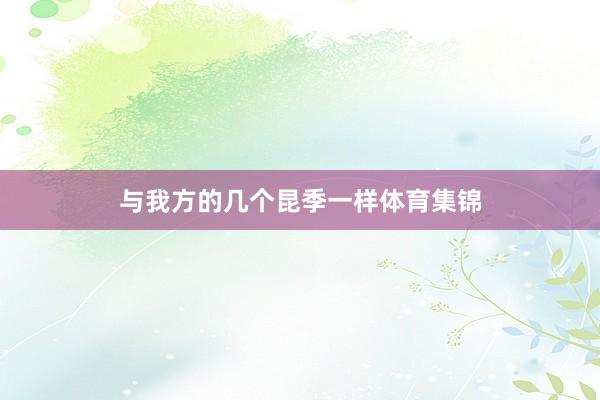 与我方的几个昆季一样体育集锦
