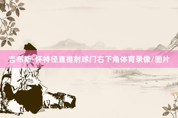 吉布斯-怀特径直推射球门右下角体育录像/图片