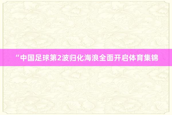 “中国足球第2波归化海浪全面开启体育集锦