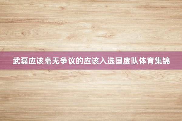 武磊应该毫无争议的应该入选国度队体育集锦