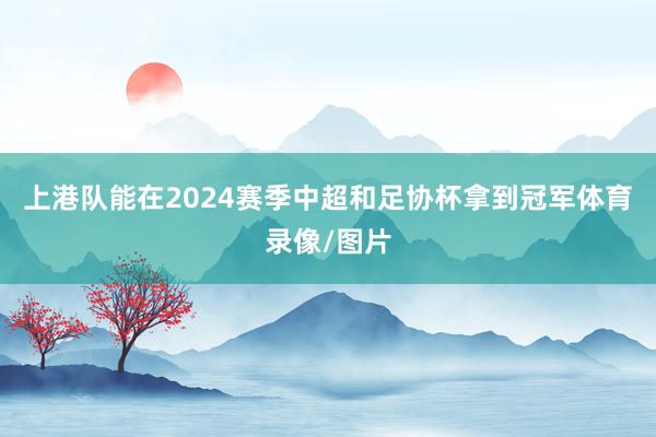 上港队能在2024赛季中超和足协杯拿到冠军体育录像/图片