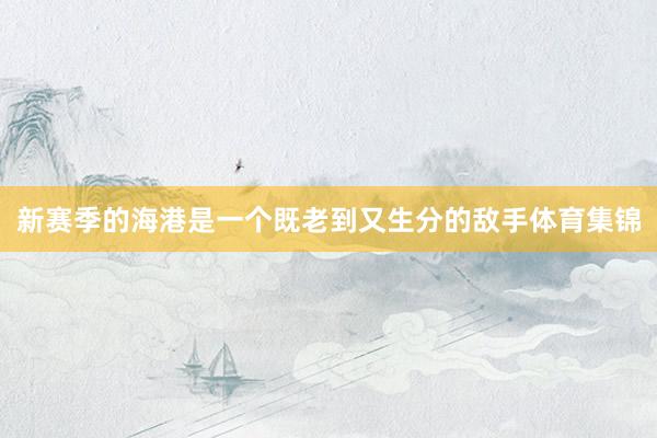 新赛季的海港是一个既老到又生分的敌手体育集锦