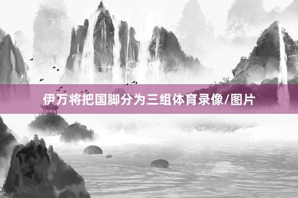 伊万将把国脚分为三组体育录像/图片