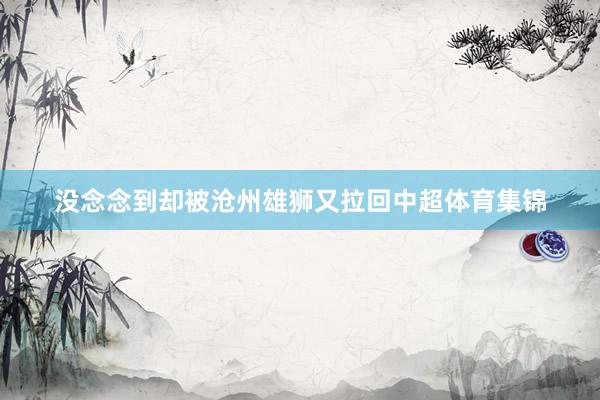 没念念到却被沧州雄狮又拉回中超体育集锦