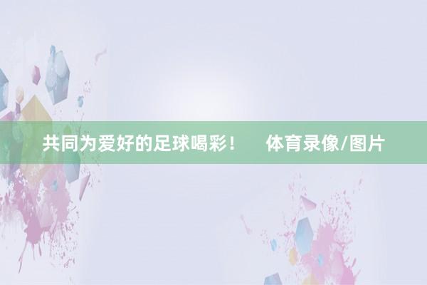 共同为爱好的足球喝彩！    体育录像/图片