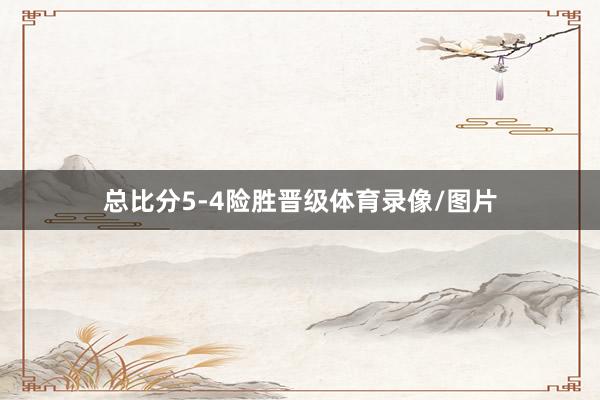 总比分5-4险胜晋级体育录像/图片