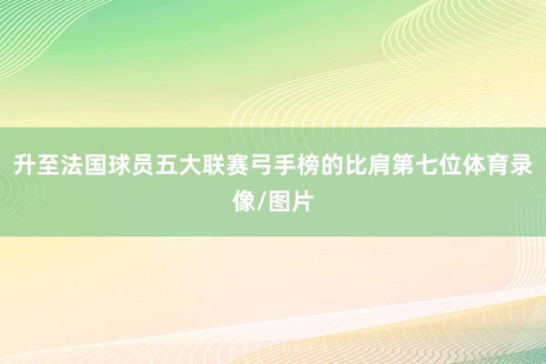 升至法国球员五大联赛弓手榜的比肩第七位体育录像/图片