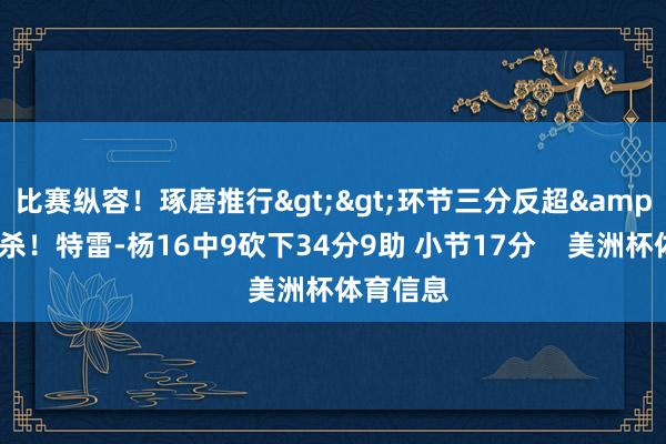 比赛纵容！琢磨推行>>环节三分反超&后仰绝杀！特雷-杨16中9砍下34分9助 小节17分    美洲杯体育信息