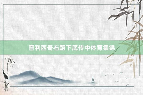 普利西奇右路下底传中体育集锦
