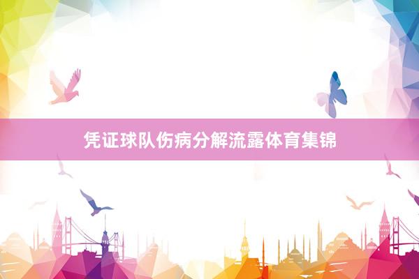 凭证球队伤病分解流露体育集锦
