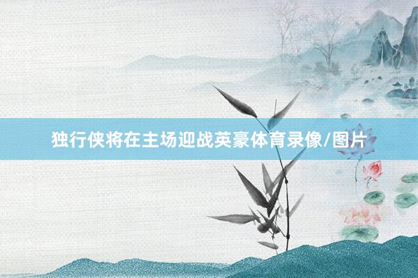 独行侠将在主场迎战英豪体育录像/图片