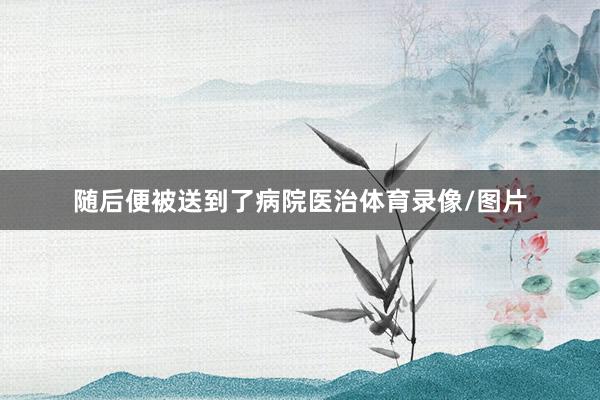 随后便被送到了病院医治体育录像/图片