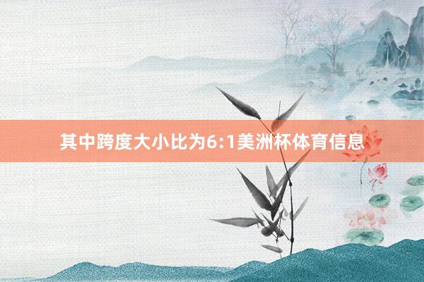 其中跨度大小比为6:1美洲杯体育信息