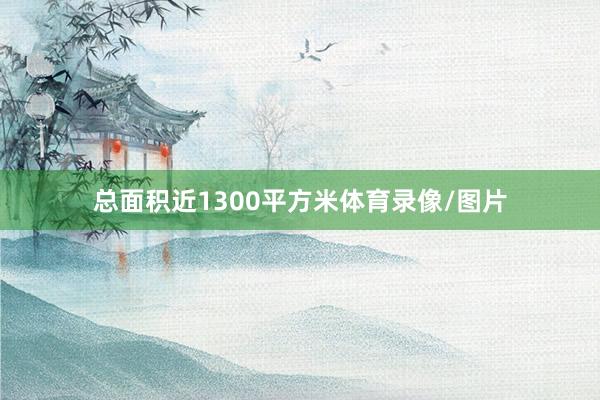 总面积近1300平方米体育录像/图片