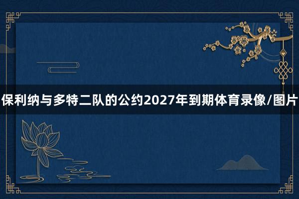 保利纳与多特二队的公约2027年到期体育录像/图片