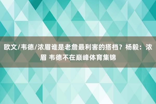 欧文/韦德/浓眉谁是老詹最利害的搭档？杨毅：浓眉 韦德不在巅峰体育集锦