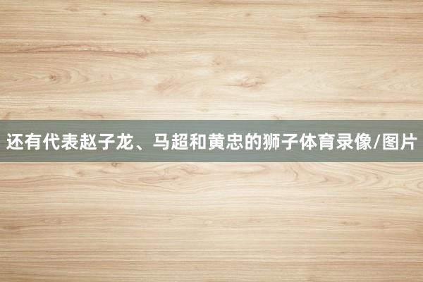 还有代表赵子龙、马超和黄忠的狮子体育录像/图片