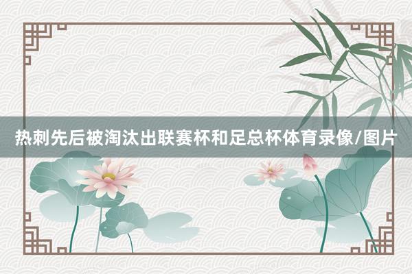 热刺先后被淘汰出联赛杯和足总杯体育录像/图片