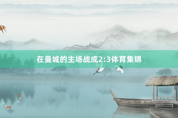 在曼城的主场战成2:3体育集锦