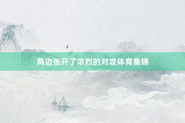 两边张开了浓烈的对攻体育集锦