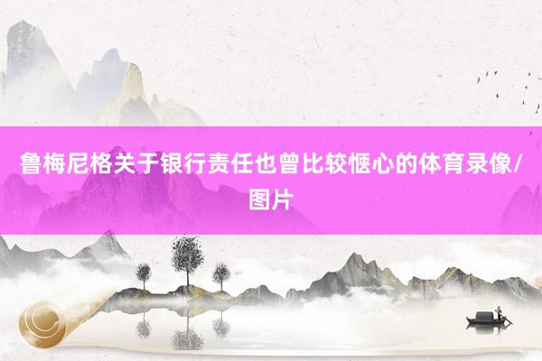 鲁梅尼格关于银行责任也曾比较惬心的体育录像/图片