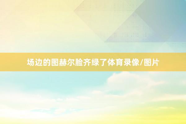 场边的图赫尔脸齐绿了体育录像/图片