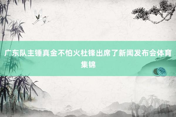 广东队主锤真金不怕火杜锋出席了新闻发布会体育集锦