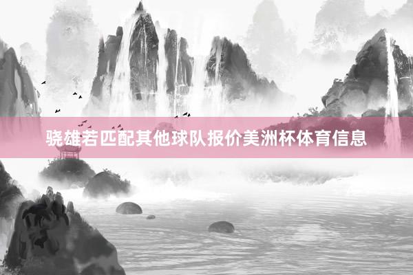 骁雄若匹配其他球队报价美洲杯体育信息