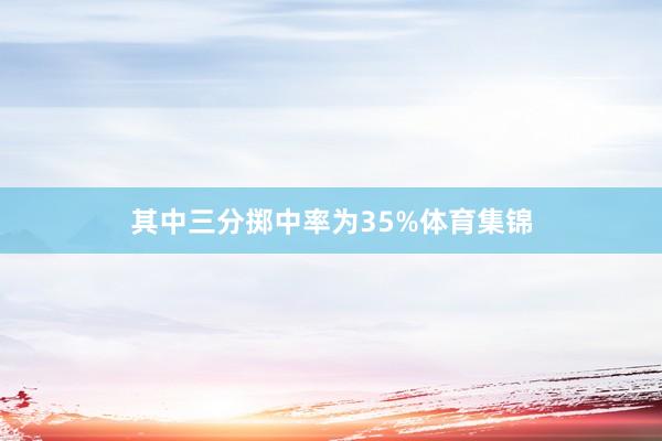 其中三分掷中率为35%体育集锦