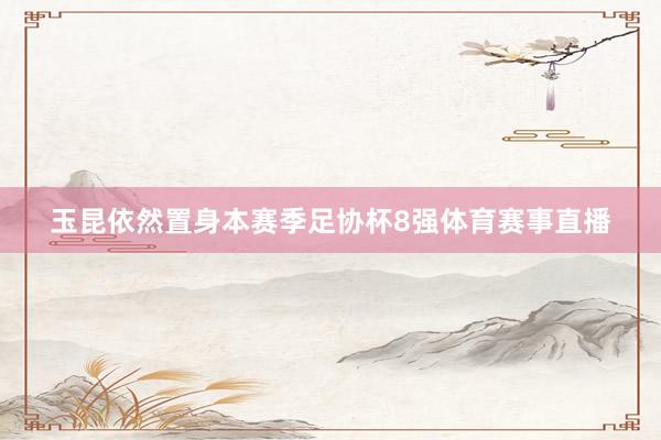 玉昆依然置身本赛季足协杯8强体育赛事直播