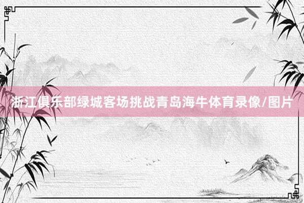 浙江俱乐部绿城客场挑战青岛海牛体育录像/图片