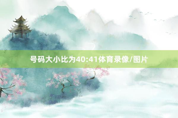号码大小比为40:41体育录像/图片