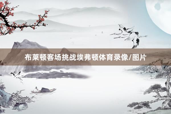 布莱顿客场挑战埃弗顿体育录像/图片