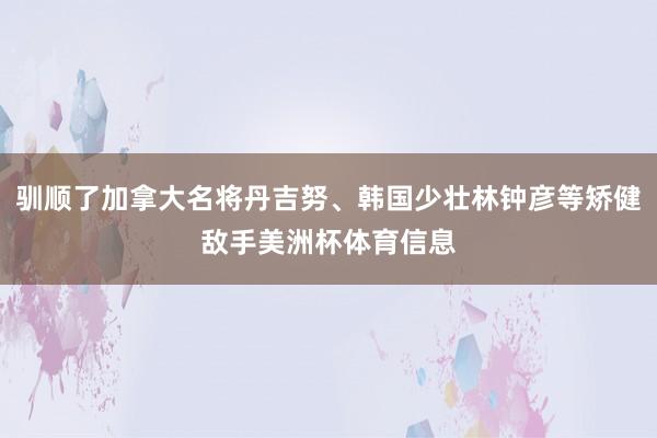 驯顺了加拿大名将丹吉努、韩国少壮林钟彦等矫健敌手美洲杯体育信息