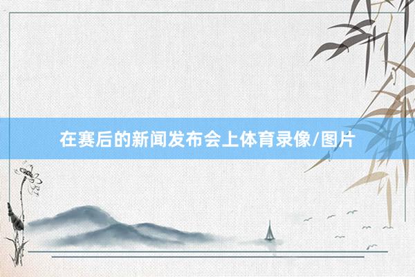 在赛后的新闻发布会上体育录像/图片