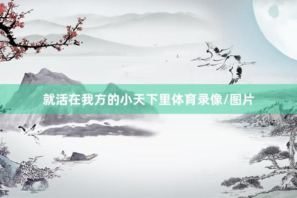 就活在我方的小天下里体育录像/图片