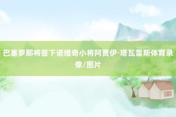 巴塞罗那将签下诺维奇小将阿贾伊·塔瓦雷斯体育录像/图片