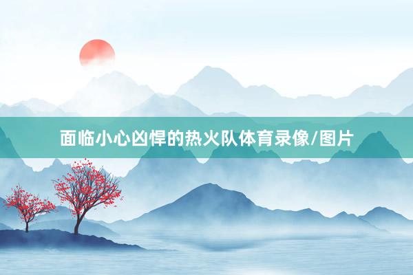 面临小心凶悍的热火队体育录像/图片